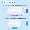 [フィッティ] Fitty ファインエアー マスク 27枚 (ふつうサイズ/不織布/プリーツ) 個包装 立体マスク (3層構造 /小顔/息がしやすい)