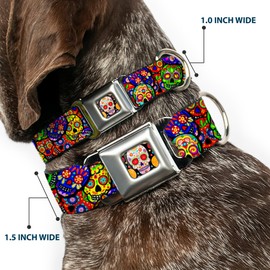 Buckle-Down Collar de Perro con Hebilla para cinturón de Seguridad, Calaveras Coloridas apiladas, Multicolor, 15 a 26 Pulgadas, 1.0 Pulgadas de Ancho