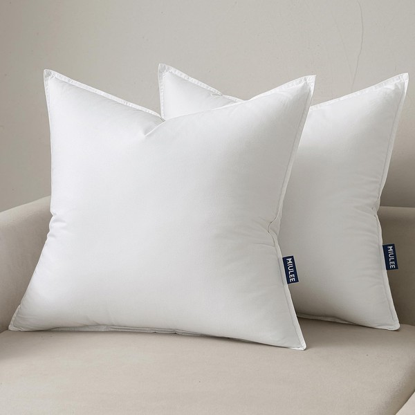 MIULEE 24x24 Throw Pillow Inserts,Set of 2 Decorative Pillow Inserts