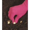 Foxgloves Original Gardening Gloves (Spring Green, Small)