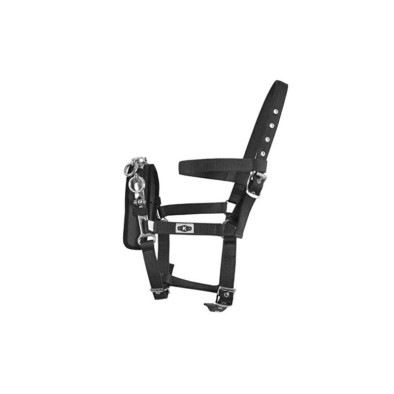 Kincade Coordinate Lunge Cavesson, Black, Cob