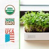 Back to The Roots Organic Microgreens Grow Kit with Ceramic
