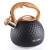 Tea Kettle, 3 Liter BELANKO Teapot Whistling Kettle with Wood