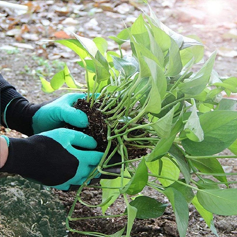 Happy Fox Gardening gloves, waterproof gloves with claws for garden,