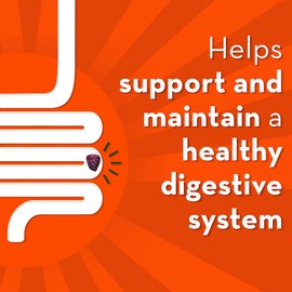 Align DUALBIOTIC PREbiotic + PRObiotic Gummies for Women & Men, Helps Support a Healthy Digestive System, Made With Naturally Fruit Flavours, 60 Count