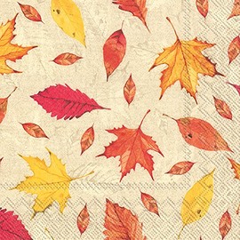 Boston International C797517 IHR Cocktail-Papierservietten für Getränke, Papier, Feuilles D Automne