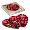 2 x Heart Coasters - Juicy Red Cranberry Fruit Nature