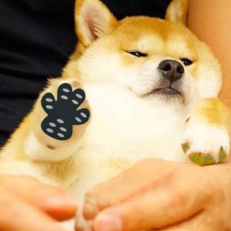 16pcs/set Dog Paw Protection Pads Anti Slip Pet Paw Protector