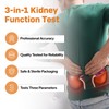 One Step: 5 x Kidney Function Test Strips, Creatinine, Protein