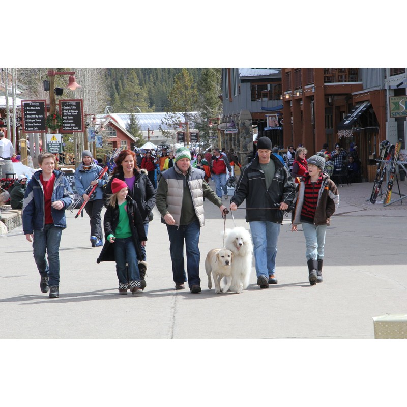 Ein Hund rettet die Weihnachtsferien