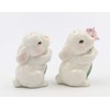 Appletree Appletree Designs Cosmos 10588 Salt & Pepper Shaker, 1