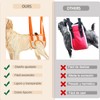 UYBNBVD Arnés de Elevación para Perro Ligero y Transpirable,Arnés Acolchado