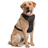 Dog Harness for Medium Dogs - Medium, Black - Soft-Padded