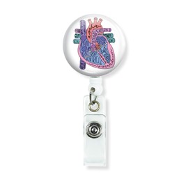 Heart Anatomical Cardiology Cardiac Badge Reels Holder Retractable with Alligator Clip on ID Name Card Holders for Nurse Doctor Teacher Student Medical Work Office