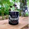 Pre Entreno Psychotic Black Insane Labz Oxido Nitrico L