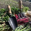 JCB - Solid Forged Garden Hand Fork And Trowel Tool