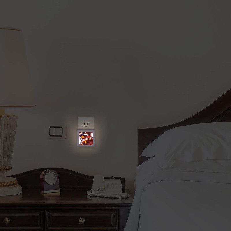 Plug in Dimmable LED Night Light with Dusk to Dawn