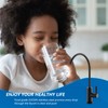 WEWE Matte Black Drinking Water Faucet Non Air Gap Stainless