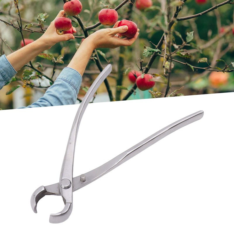 Concave Cutter Chromium Alloy Silver Bonsai Concave Branch Cutter Durable