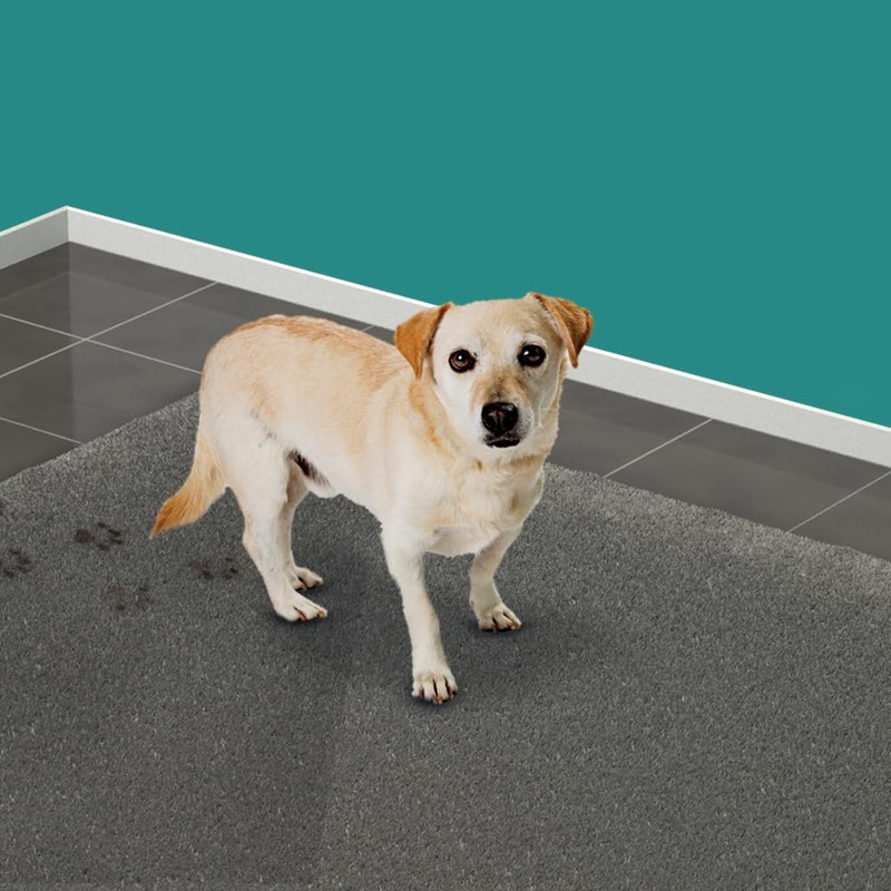 HG Hundefleckenentferner und Geruchsentferner, 500 ml