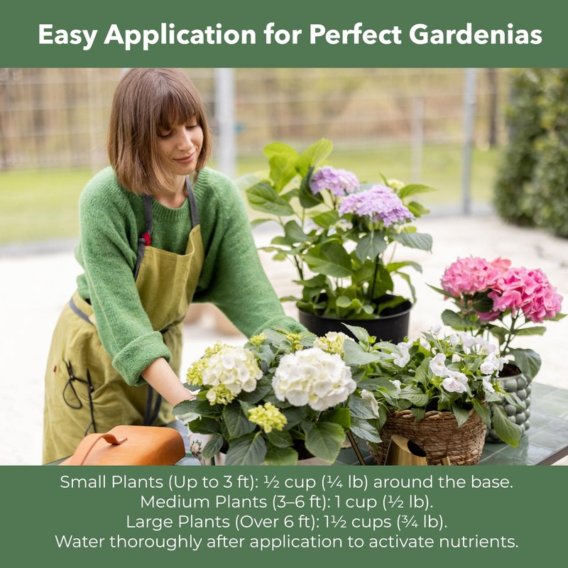 GARDENWISE Slow Release Hydrangea Fertilizer with Iron & Sulfur –