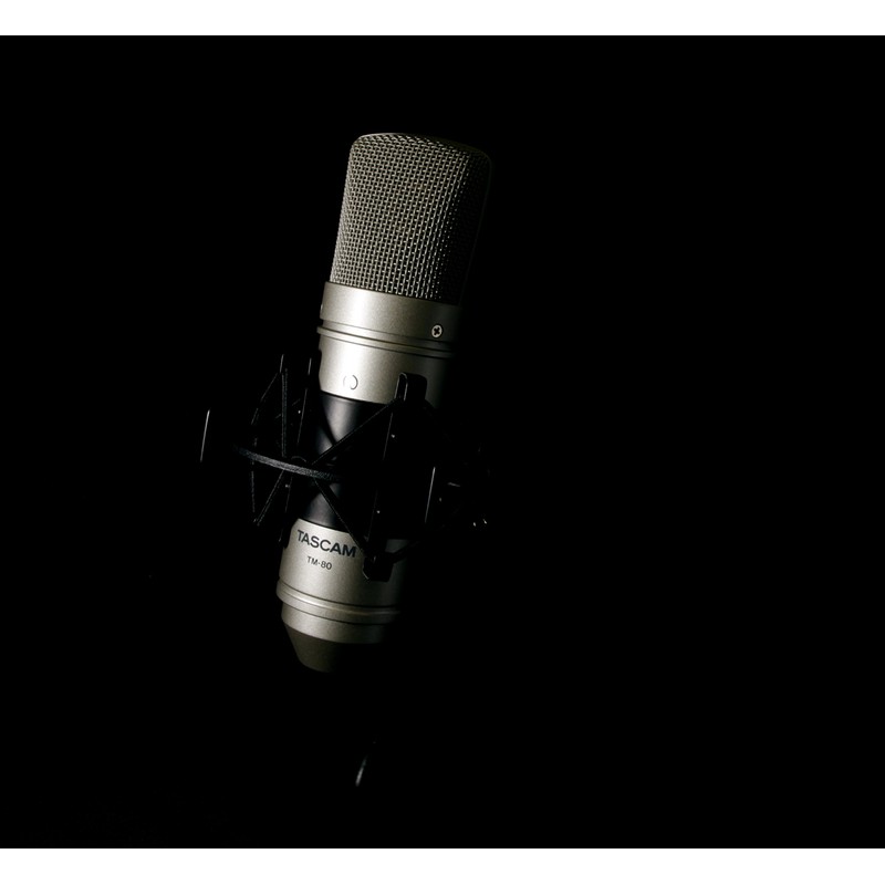 Tascam TM-80 Condenser Microphone