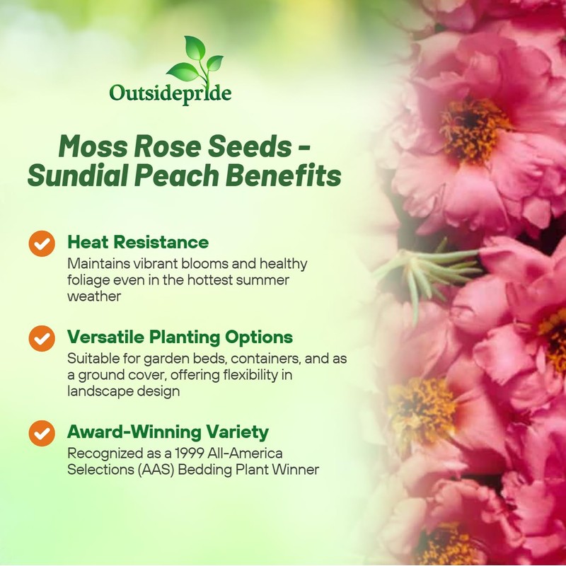 Outsidepride Sundial Peach Portulaca Moss Rose Seeds - 250 Pcs