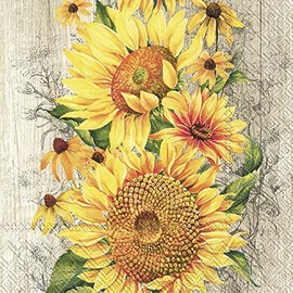 IHR Le Tournesol Tan Cocktail Napkins, Pack of 20