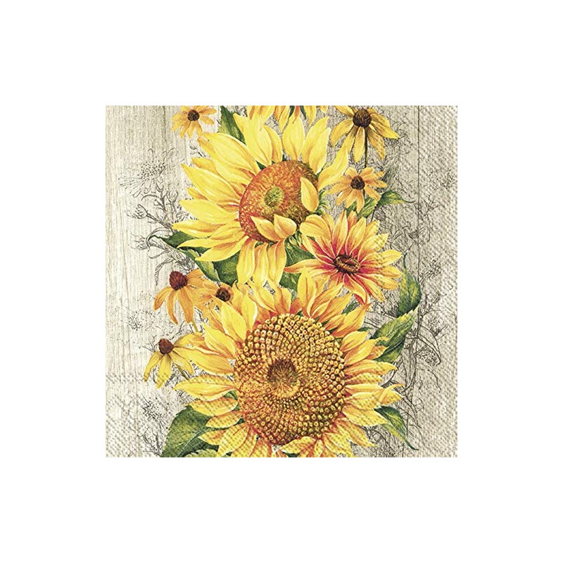 IHR Le Tournesol Tan Cocktail Napkins, Pack of 20