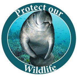 "Protect Our Wildlife" Car Magnet With Realistic Looking Manatee Photograph In The Center Covered In UV Gloss For Weather and Fading Protection Circle Shaped Magnet Measures 5.25 Inches Diameter