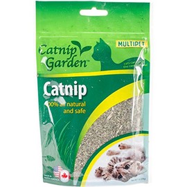 Multipet Gusseted Bag of Catnip - Natural & Safe Catnip Toys for Cats - Premium Treats for Adult Cats - Irresistible & Healthy Cat Toys (1oz)