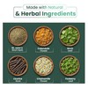 Salem Botanicals Water Balance Tea - Herbal Fluid Support Blend