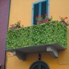 Expandable Faux Ivy Fence Privacy Screen Stretchable Artificial Hedge Single
