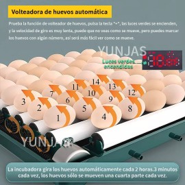 YUNJAS Incubadora para huevos YUNJAS L16 18.5m x 26.5m x 33m 127V 60W color verde
