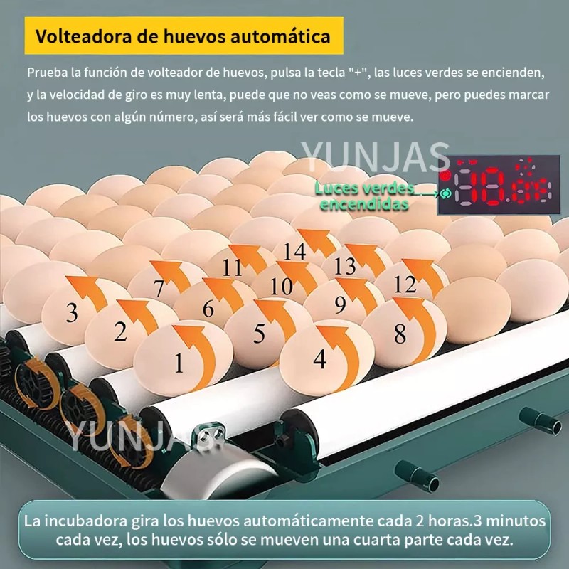 YUNJAS Incubadora para huevos YUNJAS L16 18.5m x 26.5m x