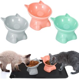 Mtxorvix 4 Pcs Raised Cat Bowl Set, Elevated Cat Bowls with Pet Mat, Cat Bowl with Stand Tilted, Anti Vomit Cat Feeding Bowls for Protecting Pet's Spine (Color)