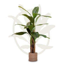 Maia Shop Artificial Banana Tree 5FT Tall, Fake Plant with Realistic Leaves and Trunks, Faux Silk Plant Made with The Best Materials, Artificial Plant for Home Decor Indoor, Tropical Decor, 60 inches
