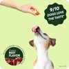 Flea and Tick Prevention for Dogs Chewable & Natural Treats