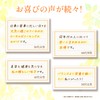 Yamada Apiary Enzymatic Decomposition Royal Jelly King Package Type 99