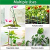 Extendable Plant Stakes, Length Scalable from 17.5IN to 30.1IN Plant