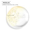 Garnier Skin Active agua micelar desmaquillante en aceite 400ml