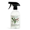 Koala Eco Natural Stainless Cleaner, 500ml