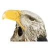 Native Tribal Indian Warrior Chief Bald Eagle Headdress Cape Hat