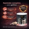 Sustituto De Leche Para Gatitos 360 Gr Perfect Sense