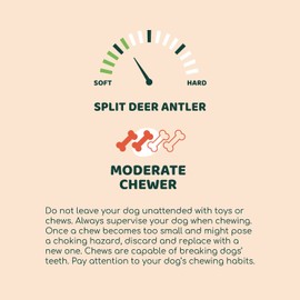 Little Loyals |100% Natural Grade A Premium Split Deer Antler |Dog Chew Toy |Dental Health |Naturally Shed |Long Lasting |for Aggressive Chewers |Easy Access to Delicious Bone Marrow |Large