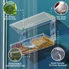 Window Bird Feeder with Strong Suction Cups – Flat-Tile Roof