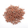 500Pcs Novelty Cute Push Pin World Travel Map Pinboard Round