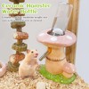 BNOSDM Hamster Water Bottle No Drip Ceramic Hamster Water Bottle