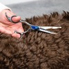 MASTERCLIP 6” Essentials Bull Nose Safety Scissors – Professional High