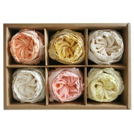 Vibrant Set of 6 English Roses Sola Flower Diffuser with Cotton Rope and Reed Stick for Aromatic Fragrance.